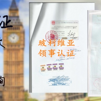 第三方如何办理公司损益表使馆双认证