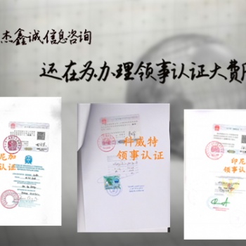 哥斯达黎加领馆资产负债表认证@哥斯达黎加领馆资产负债表认证