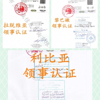派遣公证书莱索托大使馆盖章"莱索托大使馆盖章派遣公证书