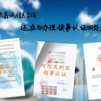 多米尼加使馆签章周年申报表*商标证书*公司损益表