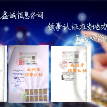 印度大使馆盖章财务审计印度使馆盖章印度大使馆盖章