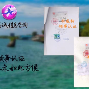 卢森堡债务证书大使馆双认证&卢森堡银行资信大使馆双认证&债务证书大使馆签章