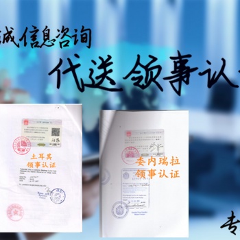阿根廷领事亲属关系公证，无罪公证书加签