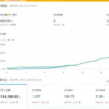 2021拼多多无货源店群软件贴牌招商，拼上拼淘上拼一对一培训，包教包会