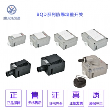 SW-10防爆墙壁开关一开二开三开明装暗装防爆照明开关