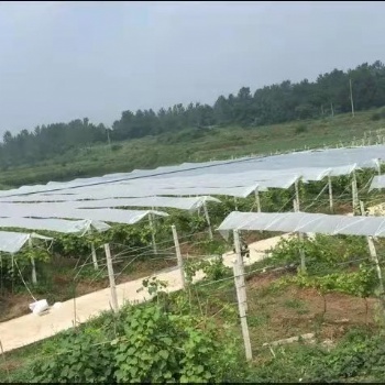 避雨棚的搭建 时间 优势