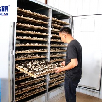 羊肚菌烘干房西部大旗厂家定制