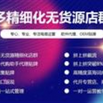 拼多多店群无货源创业，软件招商全国加盟