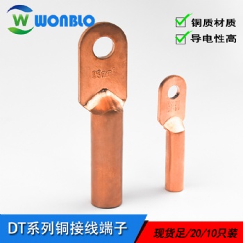 DT线鼻子 铜鼻子dt型 接线端子 稳不落