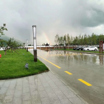 辽宁草坪现在价格 适合爱活苗圃卖吉林 沈阳内蒙秦皇岛草