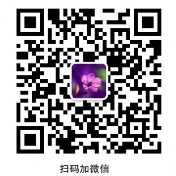 济南心理咨询师-济南心理医生-济南心理专家-济南心理咨询工作室
