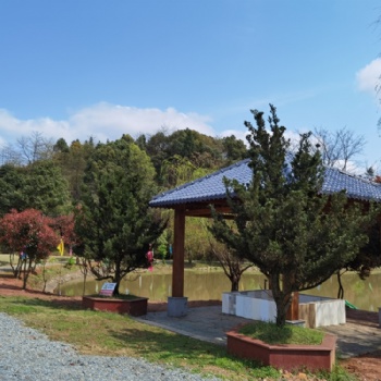 长沙附近农家乐休闲出游、民宿、野炊、挖冬笋、划船赏花