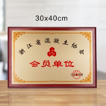 会员单位纪念品 送给合作伙伴奖牌 授权牌制作