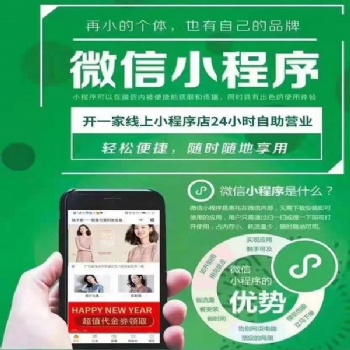 微信/小程序开发应用