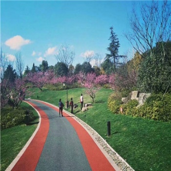 沥青路面改色彩色路面.