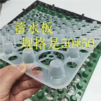 洛阳园林绿化种植2公分蓄排水板
