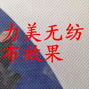 白画布,绢丝布,无纺布