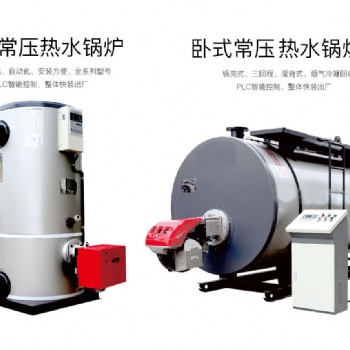 环保锅炉/常压/承压/热水锅炉