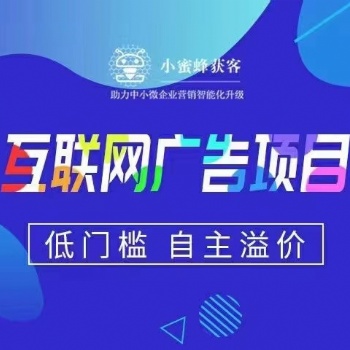 互联网轻资产项目，想赚钱的看过来