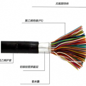 大对数通信电缆HYA HYAT53 HYAC