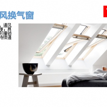 批发安装阁档斜屋顶天窗