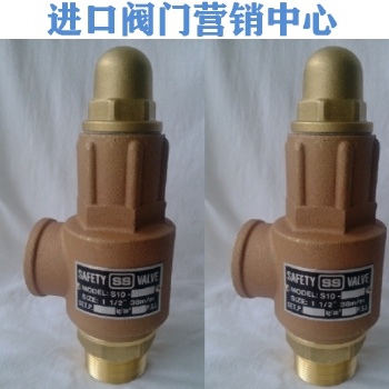 台湾进口S10蒸汽安全阀