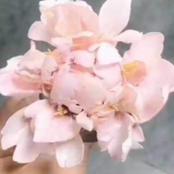 南阳蛋糕学校南阳韩式裱花培训翻糖蛋糕培训