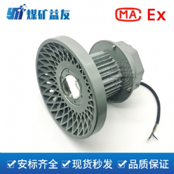 矿业照明款-DGS100/127L矿用隔爆型LED巷道灯
