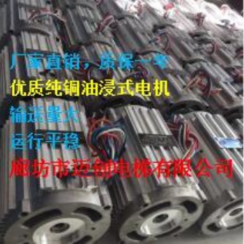 厂家供应家用电梯1.5KW油浸式电机