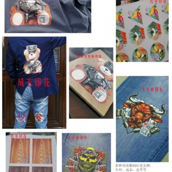 见证历史时刻 ——鸿盛数码推出革命性的棉织物和多种介质DTF热转印方案