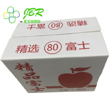 厂家自产供应pp中空板蔬果箱苹果箱
