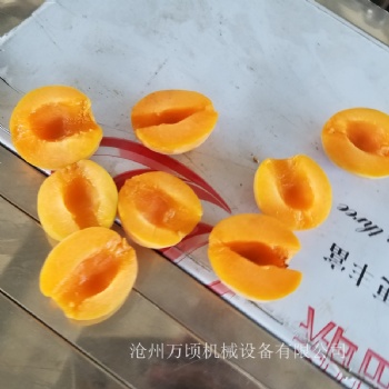杏子分半机杏子去核机杏子核肉分离设备规格齐全