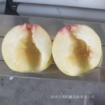 供应桃子去核机 桃去核切瓣机 桃脯桃罐头使用机器