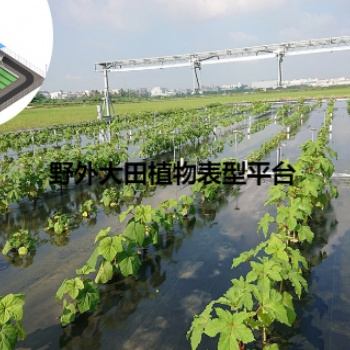 传送带植物生长平台担负输送植物样品移动