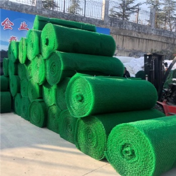湖北护坡草皮三维土工网 em3三维植被网 喷播植草三维网单价
