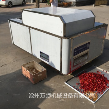 烟台小型樱桃去核机工艺精良