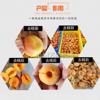 江西我爱发明杏子去核机视频