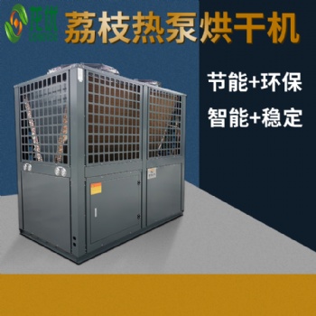 荔枝烘干机 荔枝烘干设备 荔枝龙眼烘干机源头厂家