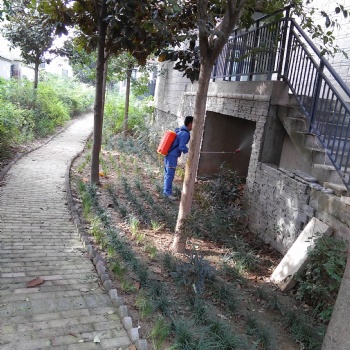 南阳灭鼠防制公司以防为主专业高效