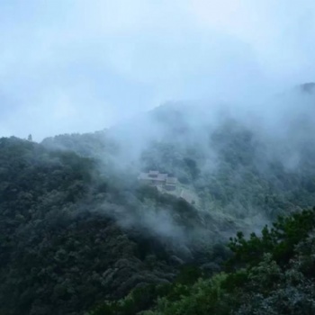 古琴移植与传统古琴曲目之辨