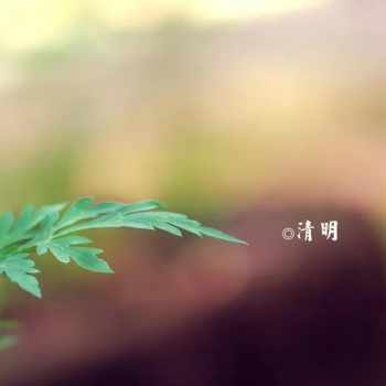 学古琴左右脑协调平衡发展