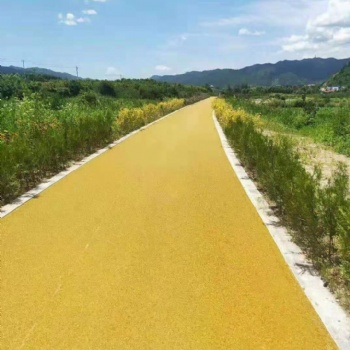 平湖商场彩色沥青路面图案设计