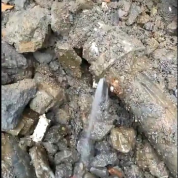 昆山市专业地下管道漏水听漏 查漏 勘察维修工程有限公司 苏州诚晟