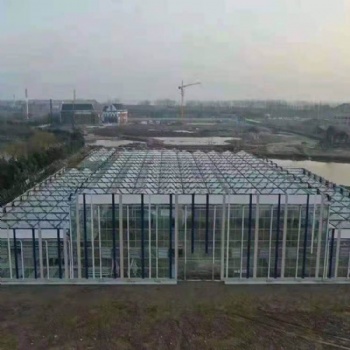 蔬菜温室 连栋蔬菜温室 千宏连栋蔬菜温室承建商