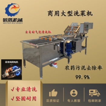 全自动厨房洗菜机去农残果蔬气泡清洗机中药材清洗风干流水线