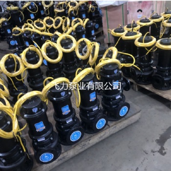 WQ潜水排污泵 离心三相无堵塞潜污泵潜水泵固定式潜水排污泵