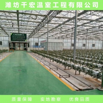 玻璃温室 玻璃温室建造 江西玻璃温室设计