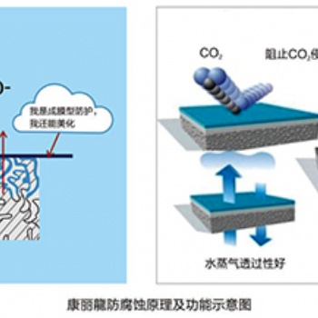 全国供应康丽龍抗氯离子装饰性防护涂料厂家 价格实惠服务周到