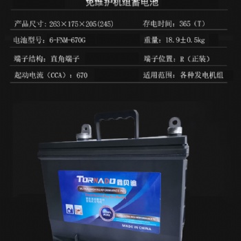 发电机蓄电池6-FNM-670G