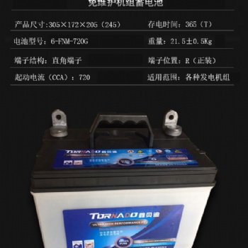 发电机电瓶6-FNM-720G